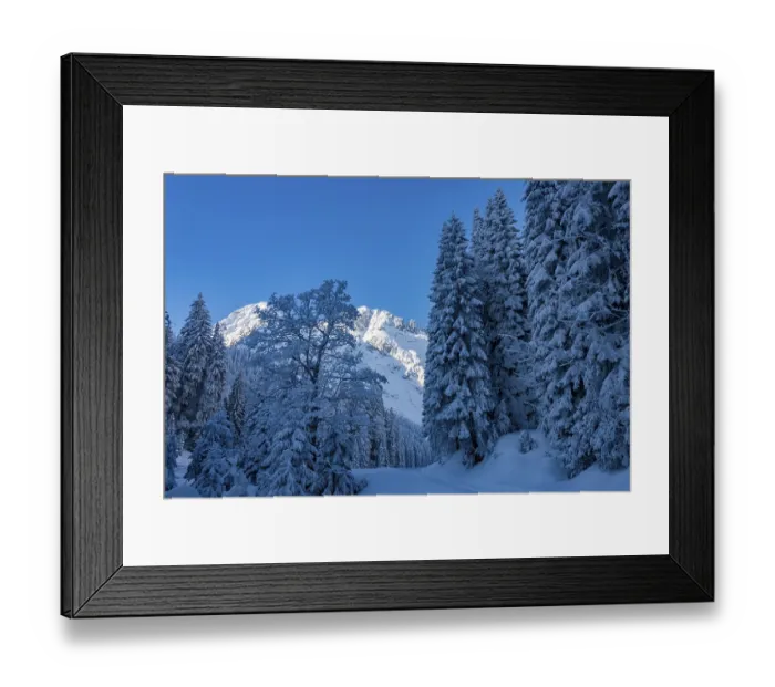 Framed Print : Winter forest with snow-covered Allgaeu mountains Framed Print : Winter forest with snow-covered Allgaeu mountains