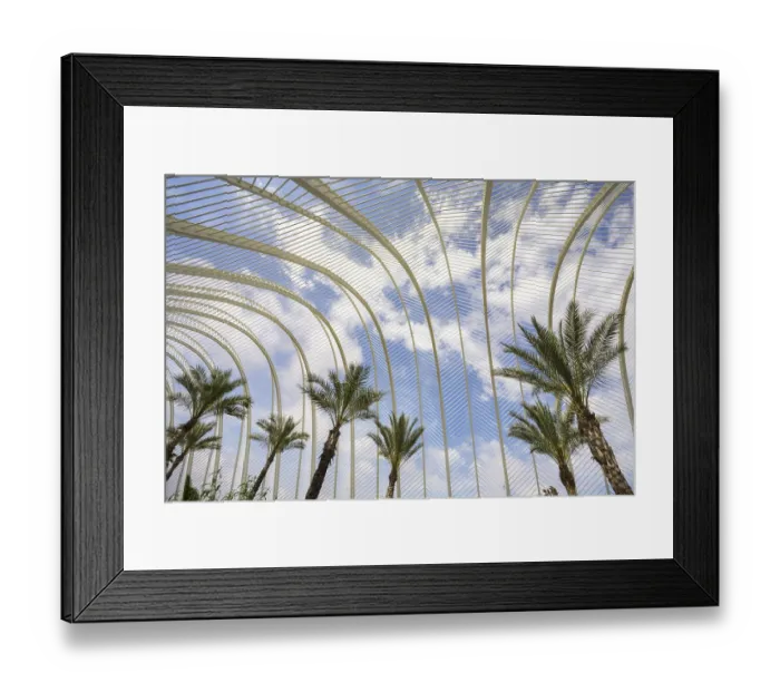 Framed Print : L'Umbracle palm garden, Ciudad de las Artes y las Ciencias City of Arts and Sciences Framed Print : L'Umbracle palm garden, Ciudad de las Artes y las Ciencias City of Arts and Sciences