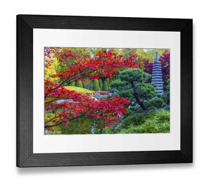 Framed Print : Japanese Garden in the Rhine Meadows Framed Print : Japanese Garden in the Rhine Meadows