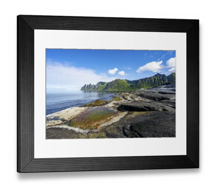 Framed Print : Green algae in a tidal pool, rocky coast of Tungeneset