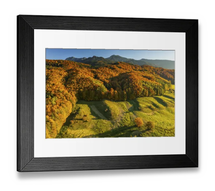 Framed Print : Aerial view of a mountain forest in front of mountains in autumn