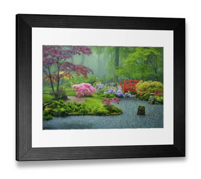 Framed Print : Small bridge in Japanese garden in rain Framed Print : Small bridge in Japanese garden in rain