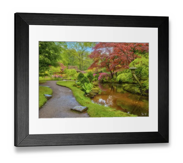 Framed Print : Little Japanese garden after rain