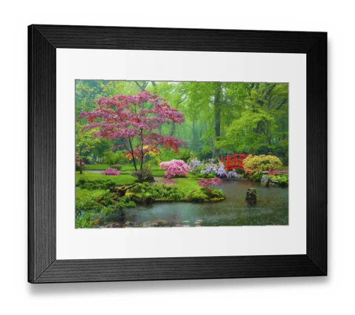 Framed Print : Small bridge in Japanese garden in rain
