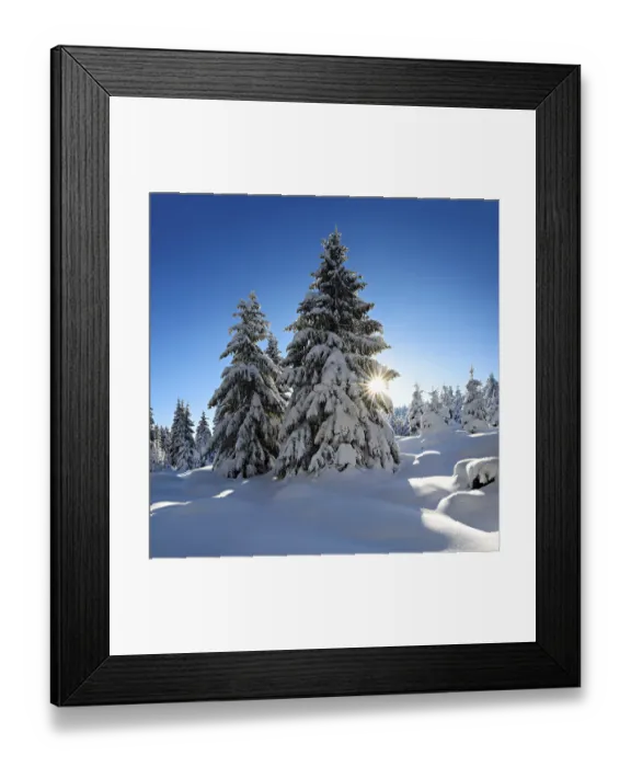 Framed Print : Spruces with snow, sun rays, snow-covered landscape in winter Framed Print : Spruces with snow, sun rays, snow-covered landscape in winter