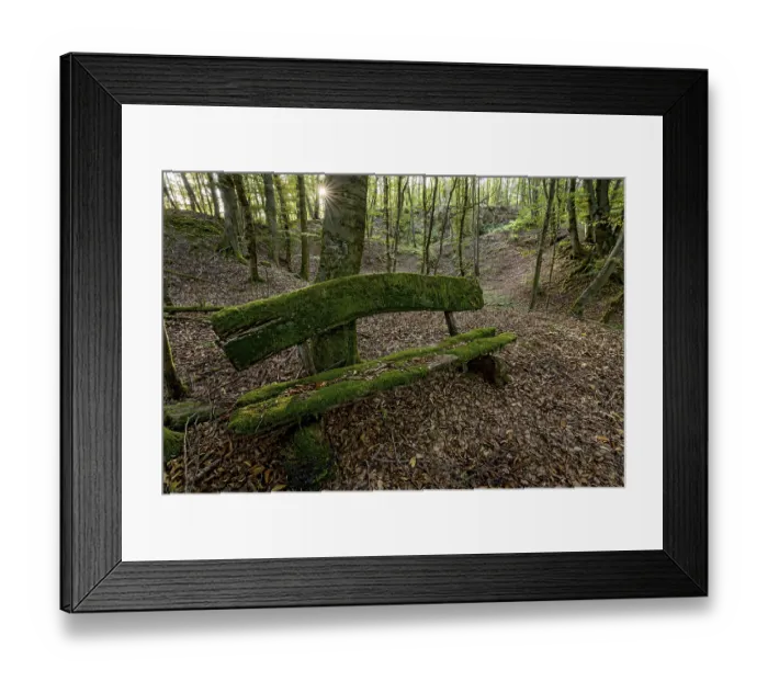 Framed Print : Weathered, rotten and mossy bench made of rough wooden planks Framed Print : Weathered, rotten and mossy bench made of rough wooden planks