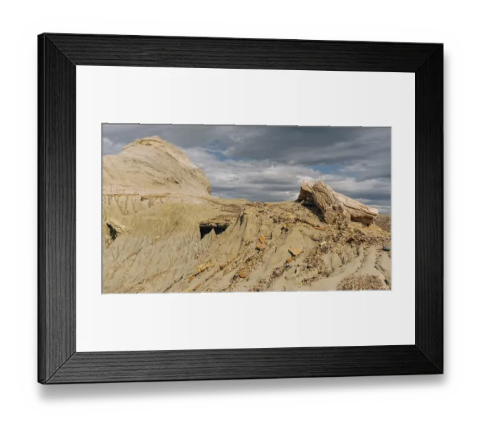 Framed Print : Petrified Forest Sarmiento, province Chubut Framed Print : Petrified Forest Sarmiento, province Chubut