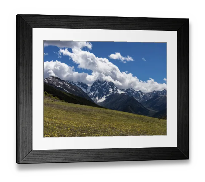 Framed Print : Mountain ranges with snow and meadows with yellow flowers in the highlands of eastern Tibet
