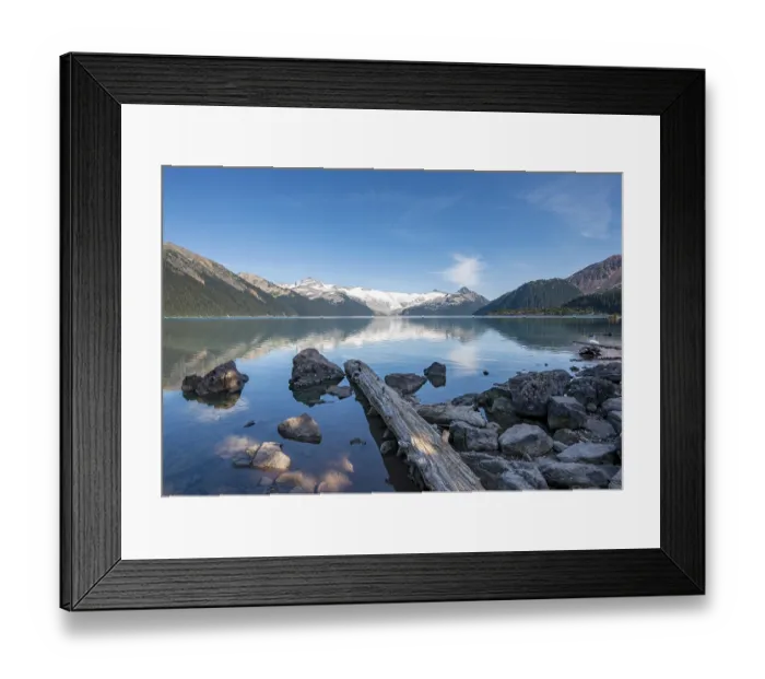 Framed Print : Garibaldi Lake, tree trunks on the shore Framed Print : Garibaldi Lake, tree trunks on the shore