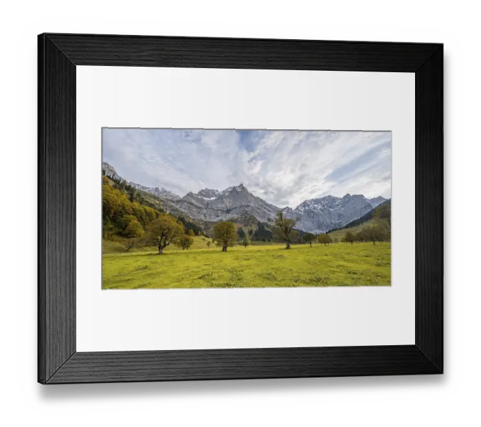 Framed Print : Maple trees with autumn leaves