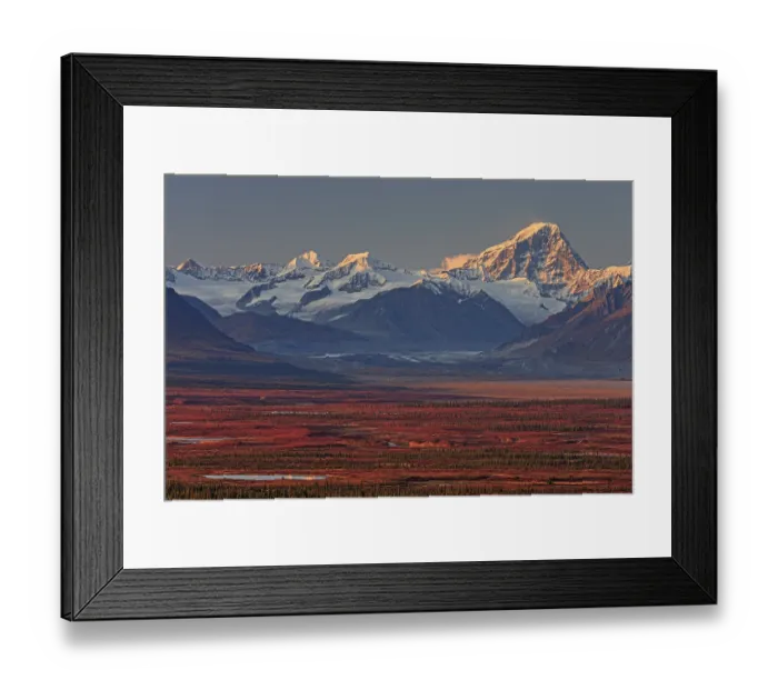 Framed Print : Autumn coloured tundra in front of mountains