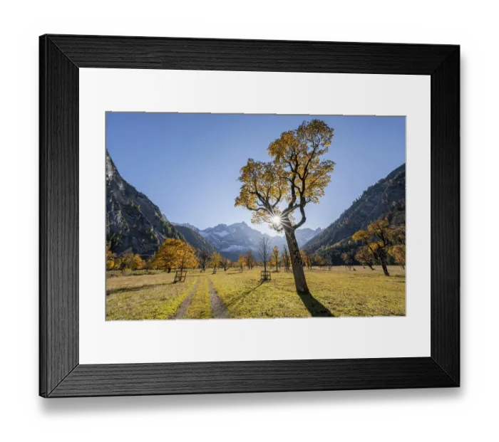 Framed Print : Sun star, Karwendel and Grosser Ahornboden in autumn Framed Print : Sun star, Karwendel and Grosser Ahornboden in autumn