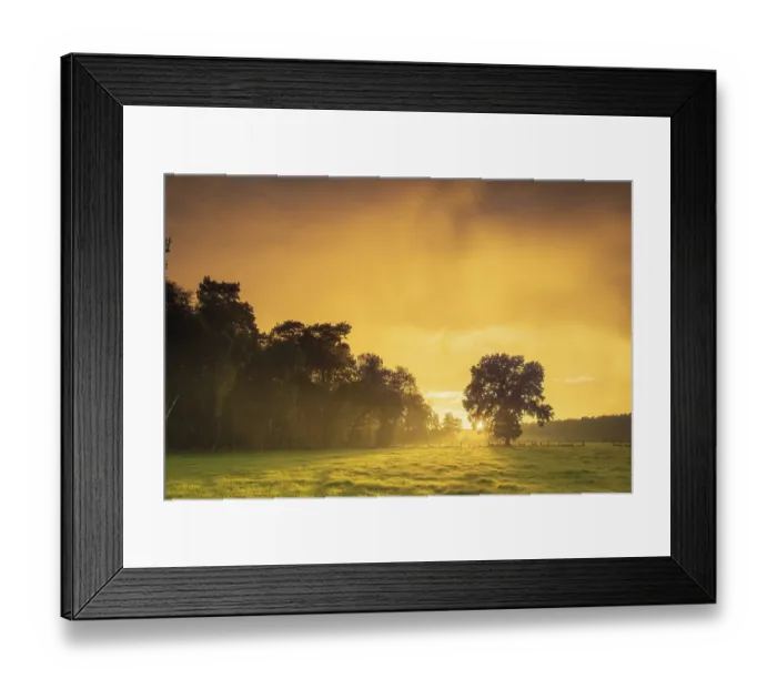 Framed Print : View over green meadows to a tree at the edge of a forest with an intense sunset Framed Print : View over green meadows to a tree at the edge of a forest with an intense sunset