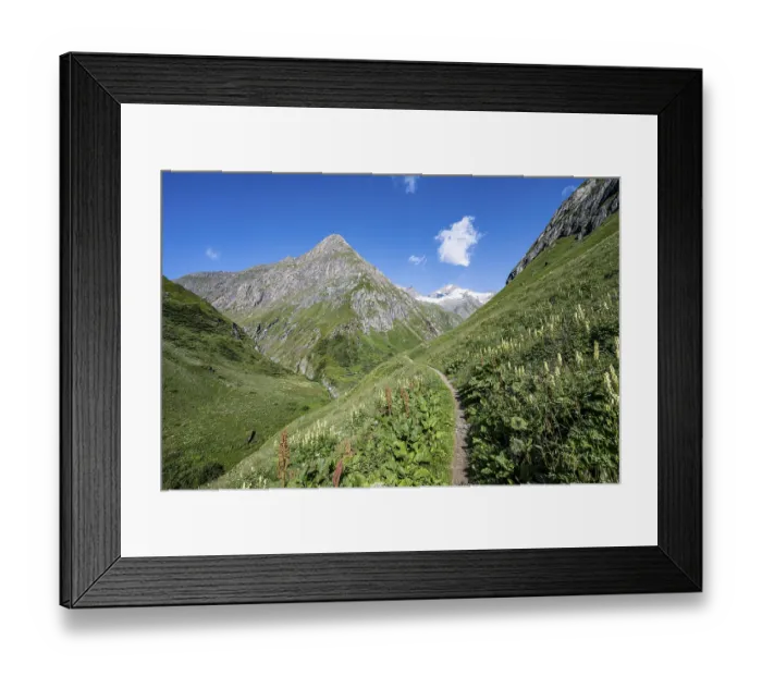 Framed Print : Hiking trail in a flower meadow