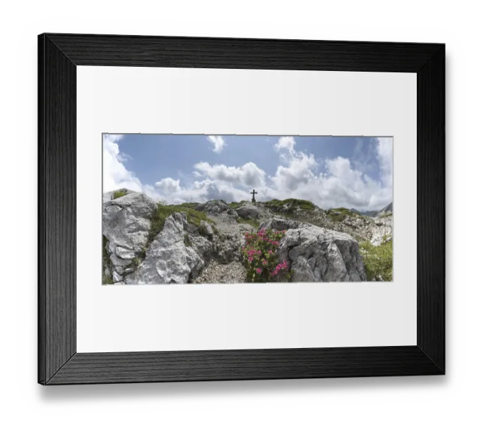 Framed Print : Alpine rose blossom, rhododendron Framed Print : Alpine rose blossom, rhododendron