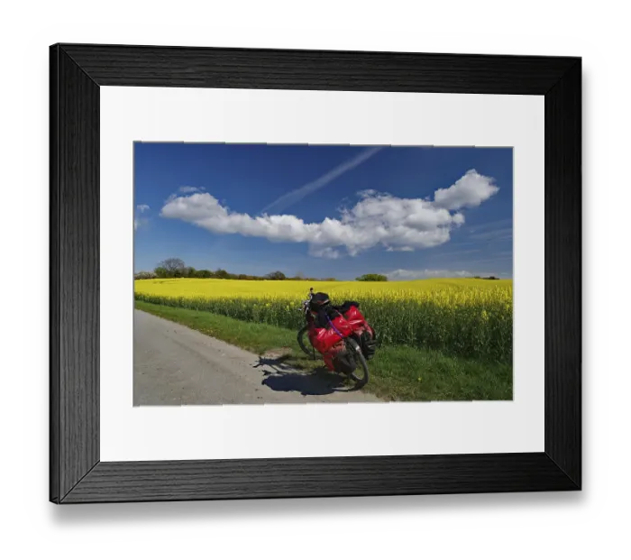 Framed Print : Packed bicycle standing on a narrow road in front of flowering rape fields Framed Print : Packed bicycle standing on a narrow road in front of flowering rape fields