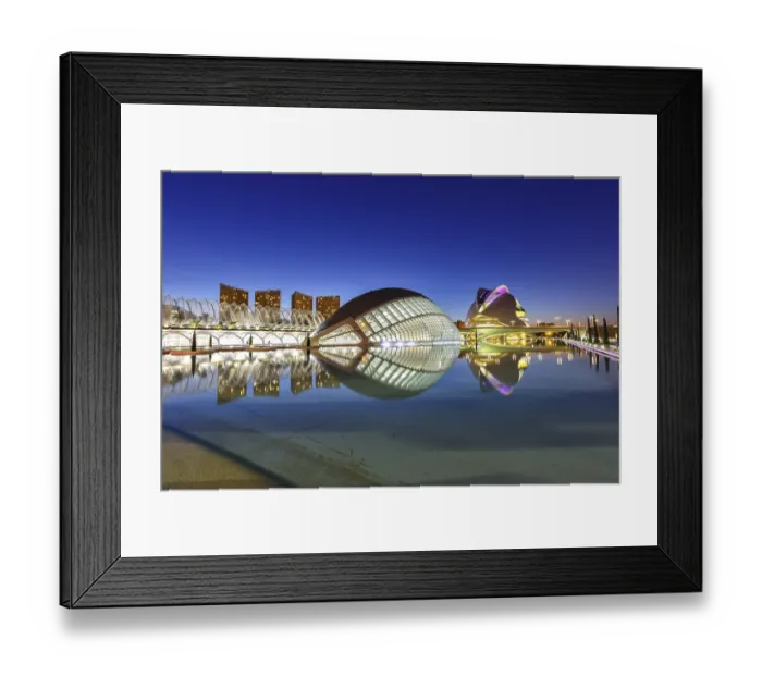 Framed Print : Ciutat de les Arts i les Ciencies modern architecture by Santiago Calatrava at night in Valencia