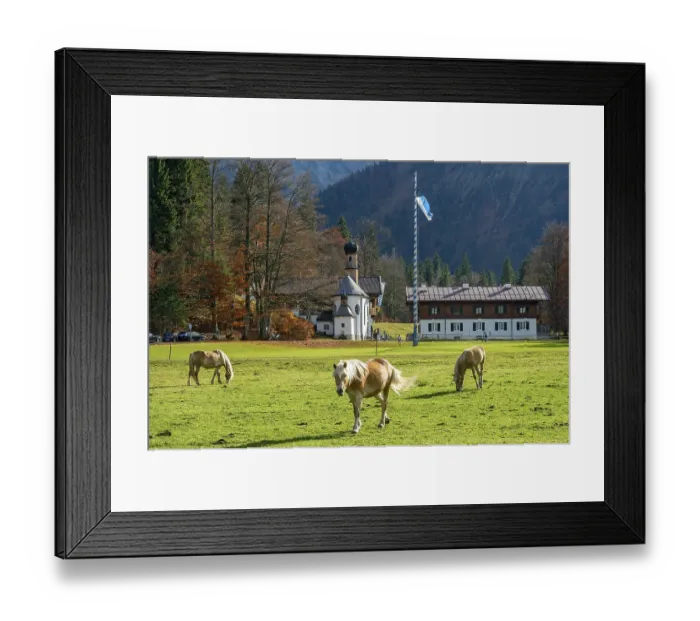 Framed Print : Horses on the pasture, Altes Bad with chapel of the Holy Cross