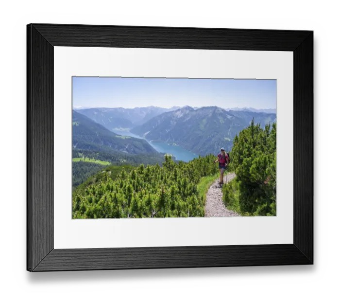 Framed Print : Hiker on a hiking trail between mountain pines