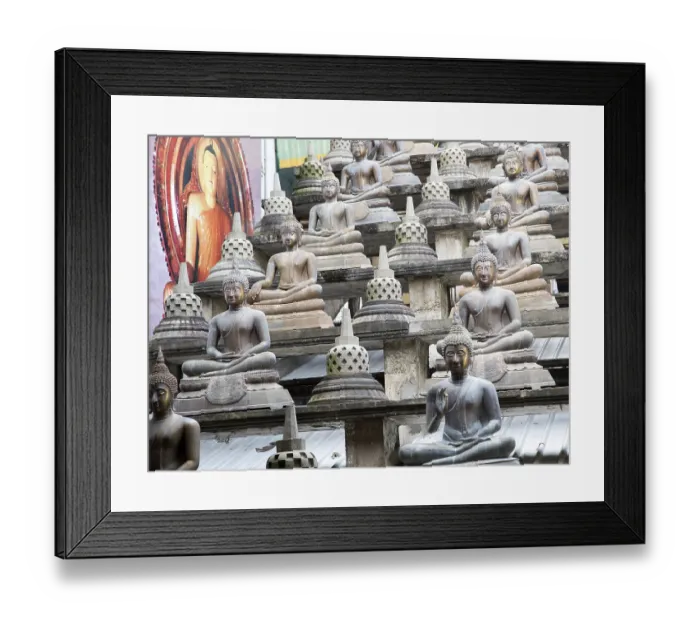 Framed Print : Buddha statues at Gangaramaya Buddhist Temple
