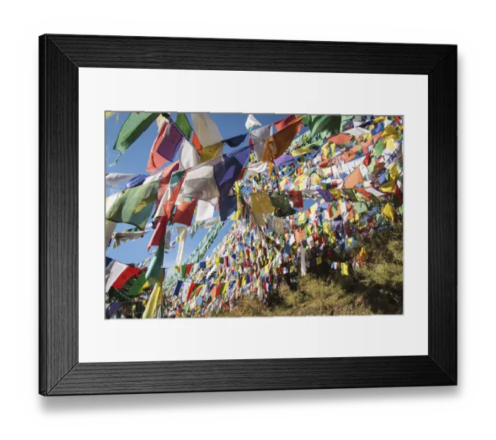 Framed Print : Tibetan prayer flags at the domicile of the Tibetan exile government Framed Print : Tibetan prayer flags at the domicile of the Tibetan exile government