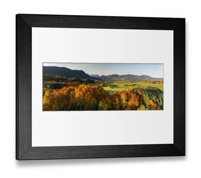 Framed Print : Aerial view of autumnal coloured trees in front of mountains in the morning light