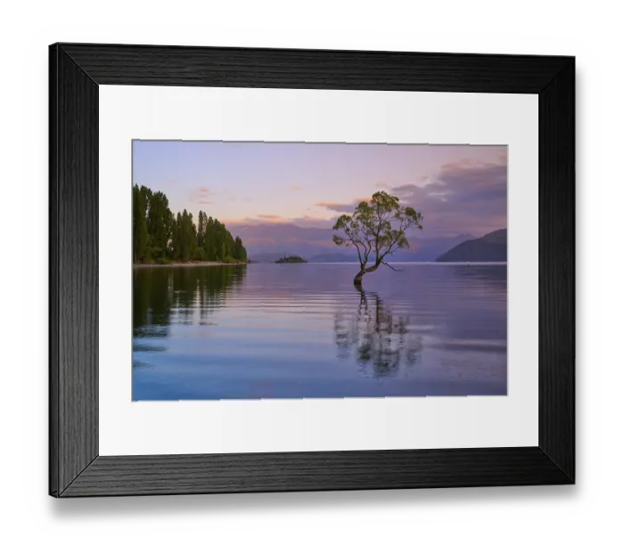 Framed Print : A tree stands in the calm waters of a lake Framed Print : A tree stands in the calm waters of a lake