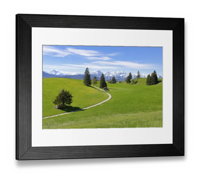 Framed Print : Landscape with trees near Fuessen Framed Print : Landscape with trees near Fuessen