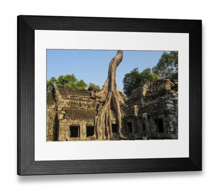 Framed Print : Ta Prohm, Angkor Wat, Angkor, UNESCO World Heritage Site Framed Print : Ta Prohm, Angkor Wat, Angkor, UNESCO World Heritage Site
