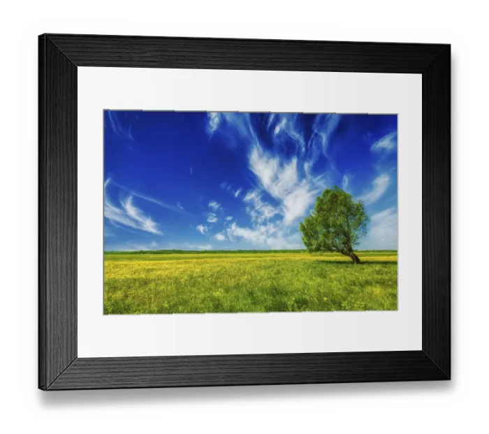 Framed Print : Spring summer background
