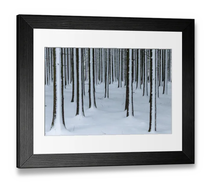 Framed Print : winter forest, Mindelheim, Unterallgaeu