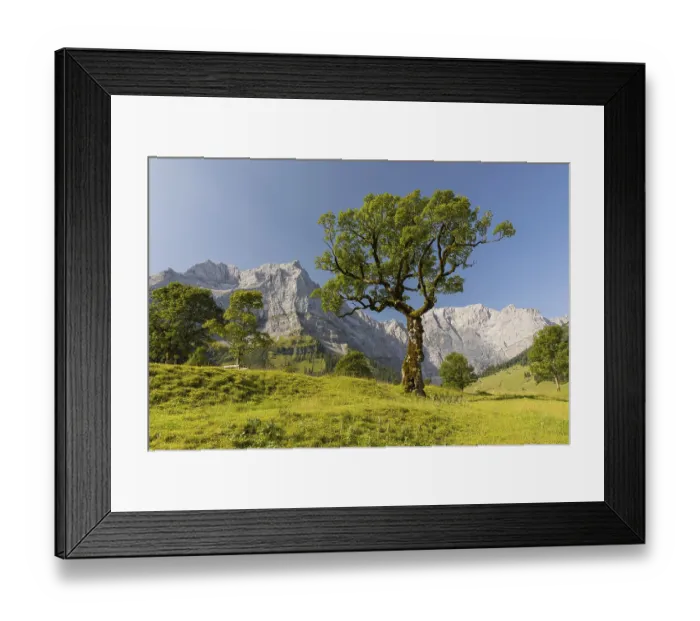 Framed Print : Nature conservancy area Grosser Ahornboden Framed Print : Nature conservancy area Grosser Ahornboden