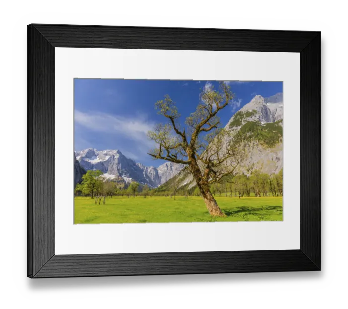 Framed Print : Nature conservancy area Grosser Ahornboden