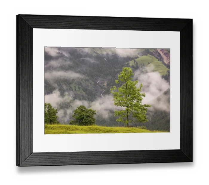 Framed Print : Nature conservancy area Grosser Ahornboden