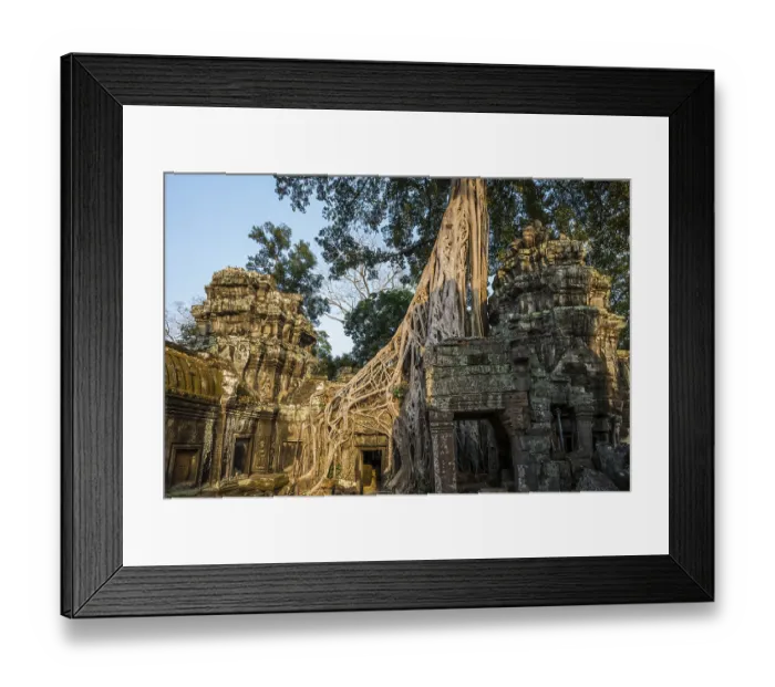Framed Print : Ta Prohm, Angkor Wat, Angkor, UNESCO World Heritage Site Framed Print : Ta Prohm, Angkor Wat, Angkor, UNESCO World Heritage Site