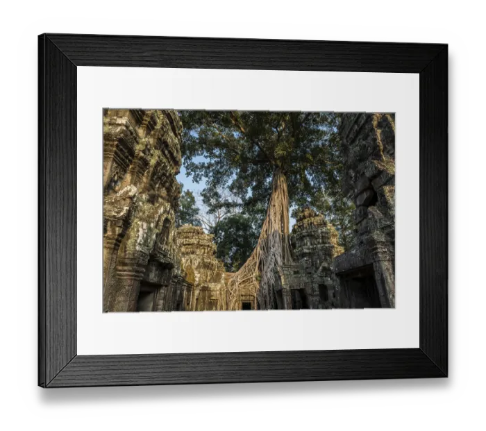 Framed Print : Ta Prohm, Angkor Wat, Angkor, UNESCO World Heritage Site