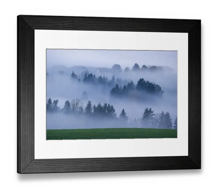 Framed Print : Trees and forests in the early morning mist