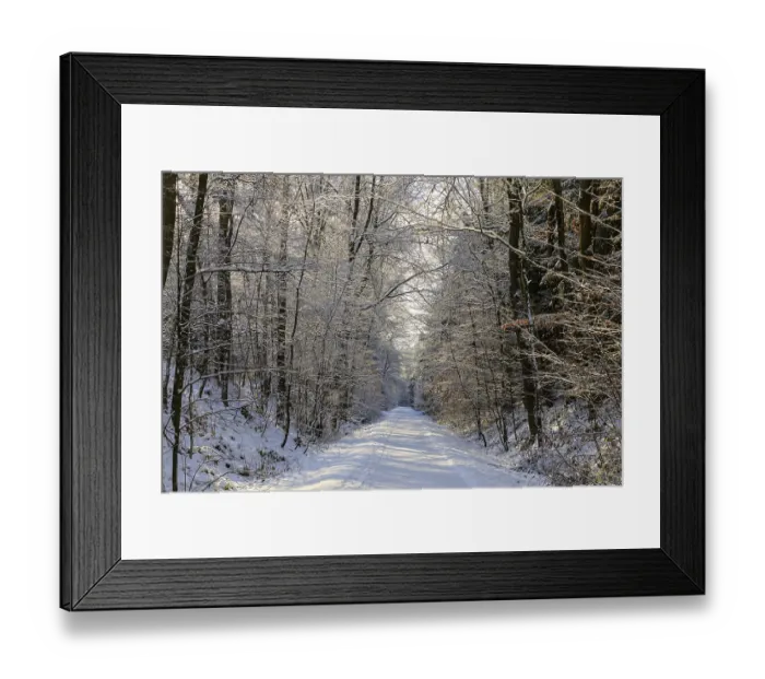 Framed Print : Straight hiking trail on a former railway embankment in the snow near Duerrroehrsdorf-Dittersbach