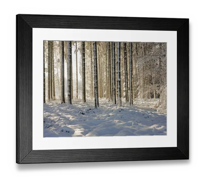 Framed Print : Snow-covered winter forest, Horben Framed Print : Snow-covered winter forest, Horben