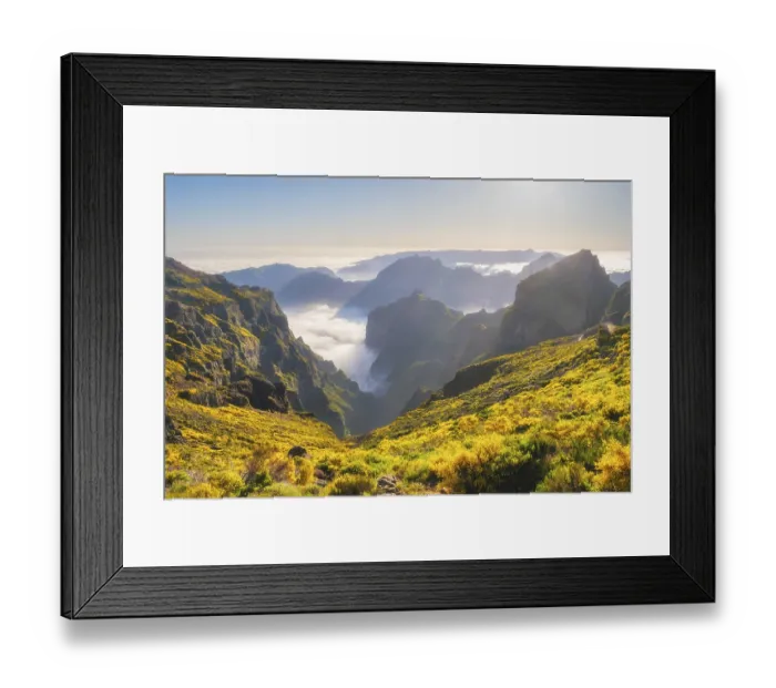 Framed Print : View from Pico do Arieiro of mountains over clouds with blooming Cytisus shrubs on sunset with sunburst Framed Print : View from Pico do Arieiro of mountains over clouds with blooming Cytisus shrubs on sunset with sunburst