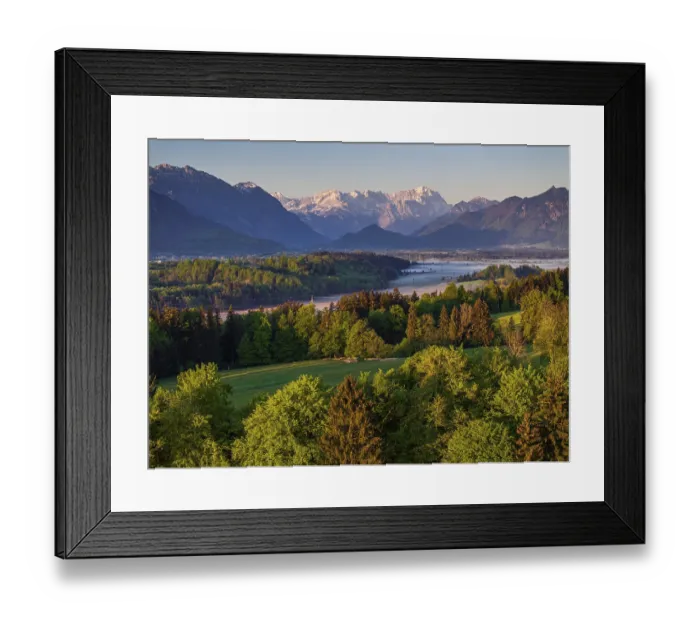Framed Print : Aerial view, trees, forest, meadow