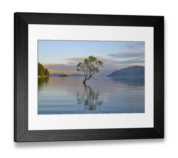 Framed Print : A tree protrudes from a lake, with its reflection and surrounded by mountains