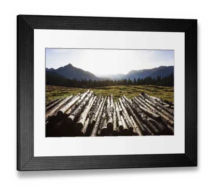 Framed Print : Cut tree trunks on the Postalm