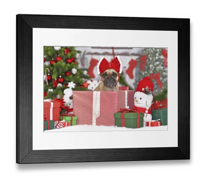 Framed Print : French Bulldog dog in Christmas gift box between many boxes next to Christmas tree Framed Print : French Bulldog dog in Christmas gift box between many boxes next to Christmas tree