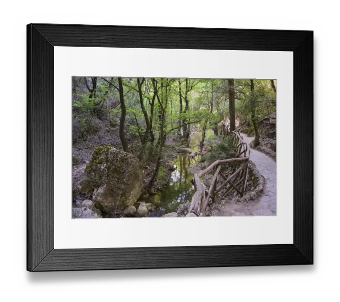 Framed Print : A forest path with railings leads along a small stream Framed Print : A forest path with railings leads along a small stream