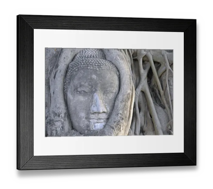 Framed Print : Sandstone head of a Buddha statue