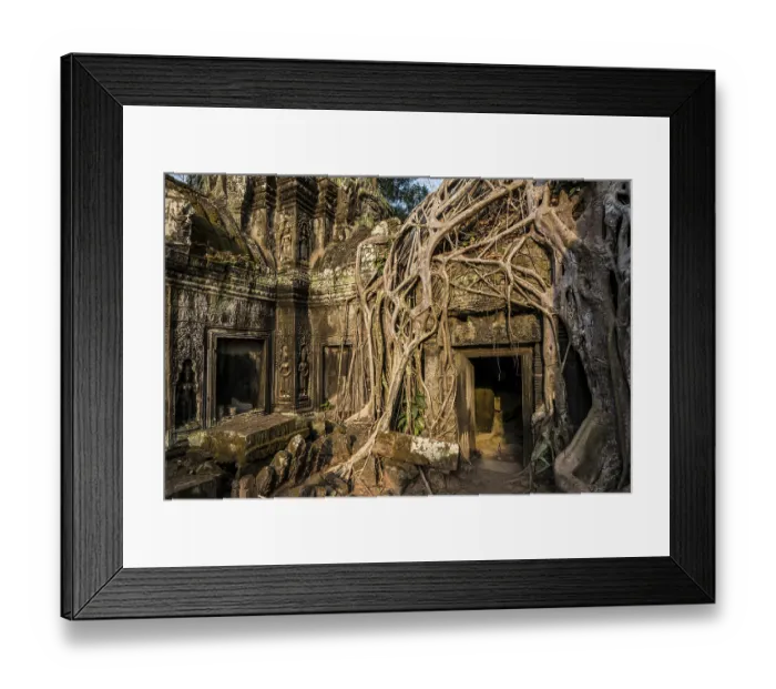 Framed Print : Ta Prohm, Angkor Wat, Angkor, UNESCO World Heritage Site Framed Print : Ta Prohm, Angkor Wat, Angkor, UNESCO World Heritage Site