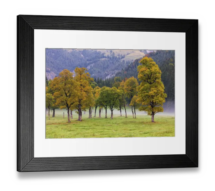 Framed Print : Nature conservancy area Grosser Ahornboden Framed Print : Nature conservancy area Grosser Ahornboden