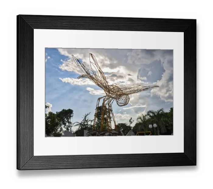 Framed Print : Dragonfly, modern statue, Cienfuegos Framed Print : Dragonfly, modern statue, Cienfuegos