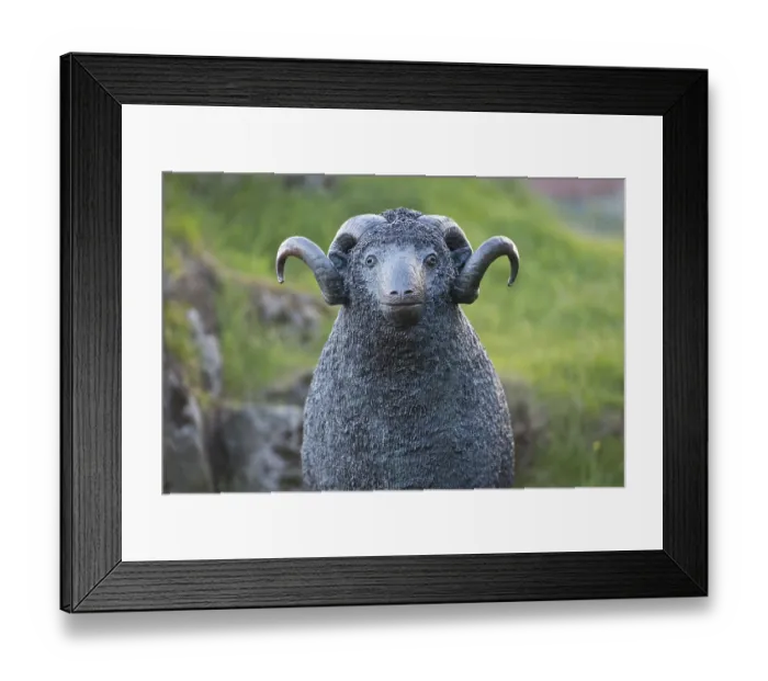 Framed Print : Statue of a ram, heraldic animal of the Faroe Islands